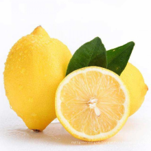 Good Quality Cheap Price Fresh Citrus Fruit Organic Yellow Lemon